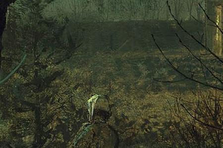 Фрагмент Woman on a path by a cottage