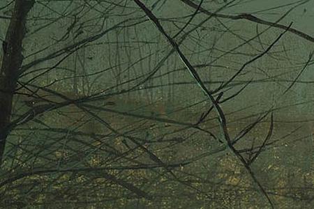 Фрагмент Woman on a path by a cottage