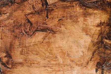 Фрагмент Woman with Bulls