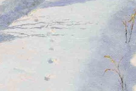 Фрагмент ЗИМА В ДОФИНЕ