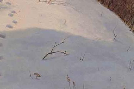 Фрагмент ЗИМА В ГОРАХ