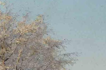 Фрагмент ЗИМНИЙ ЗАКАТ