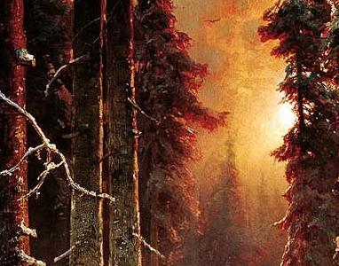 Фрагмент Зимний закат в еловом лесу