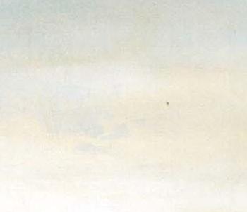 Фрагмент Золотистый Орел