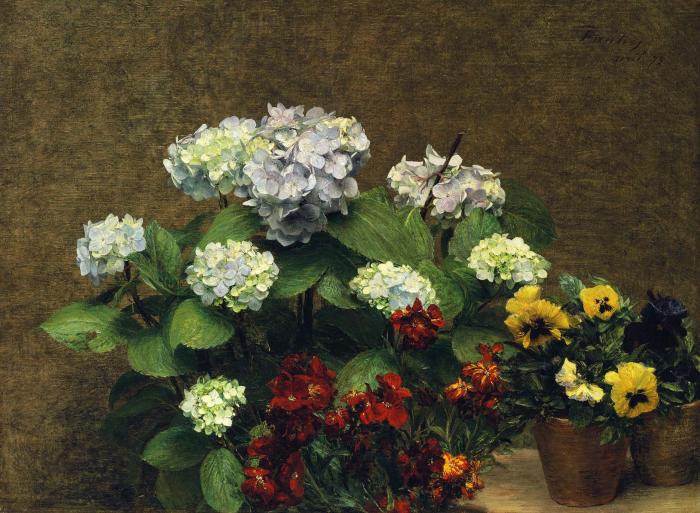 Fleurs Hortensias girofl es deux pots de pens es