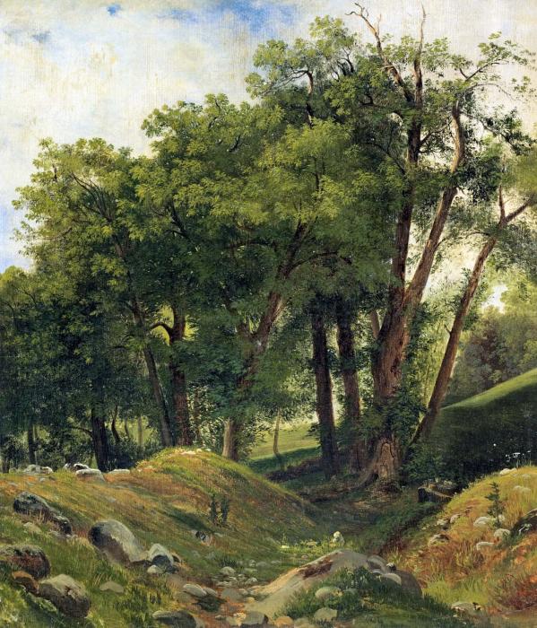 GROUPE DE CH TAIGNIERSGROUP OF CHESTNUT TREES