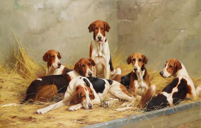 Hounds in a kennel