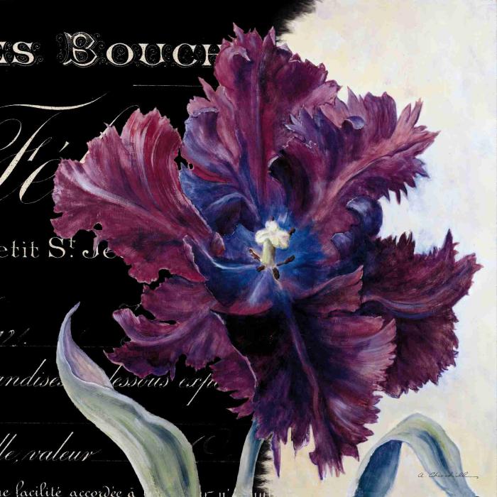 Королевский тюльпан 2