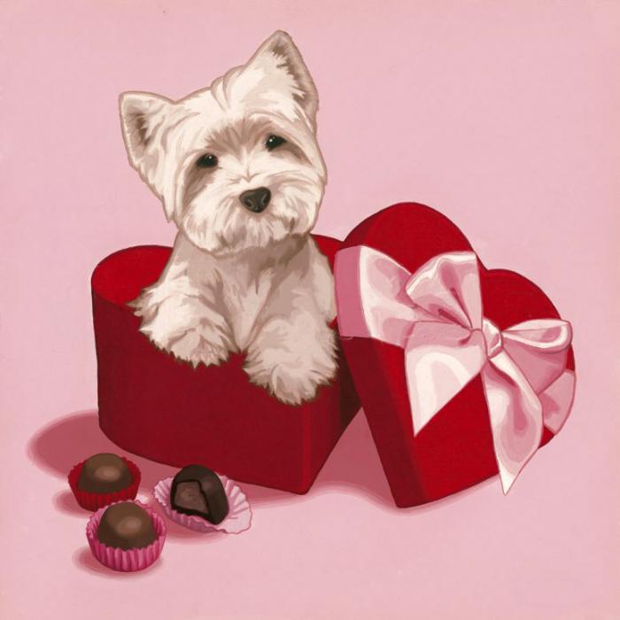 Красная коробочка сердечком