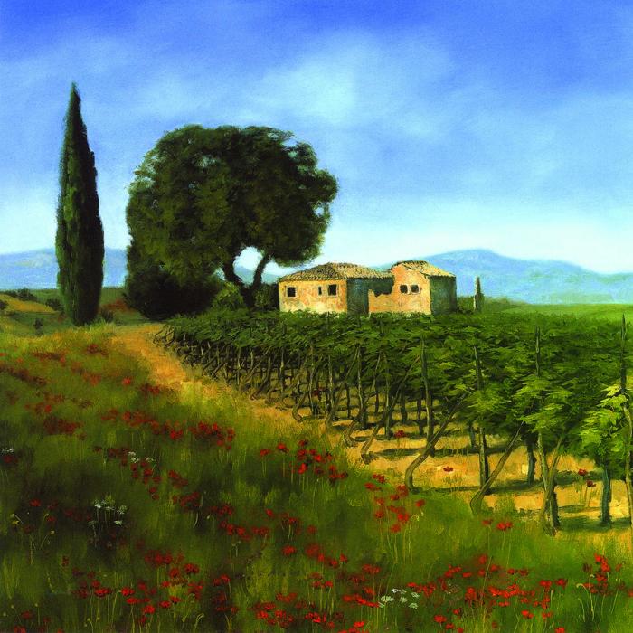 Papaveri val D'orzia