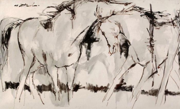 Пара лошадей играющих в лунном свете