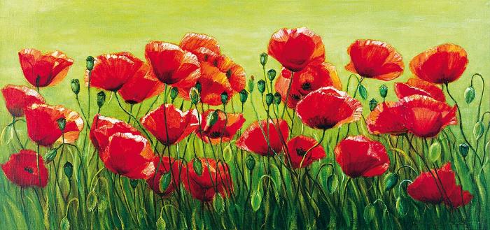 Поле Маковое