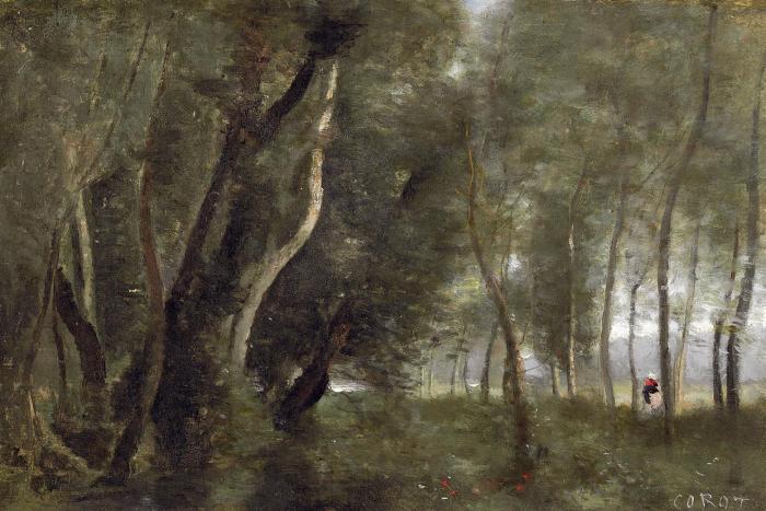 Prairie bois e au bord de l eau