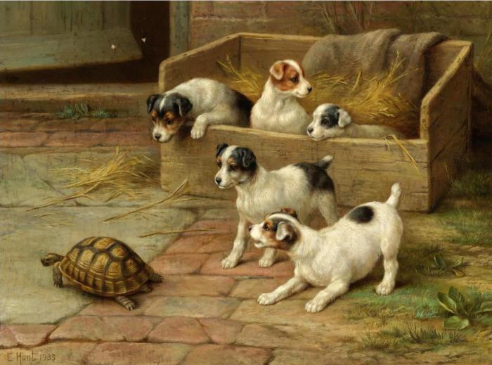 PUPPIES AND CHICKENS AND PUPPIES AND A TORTOISE TWO WO