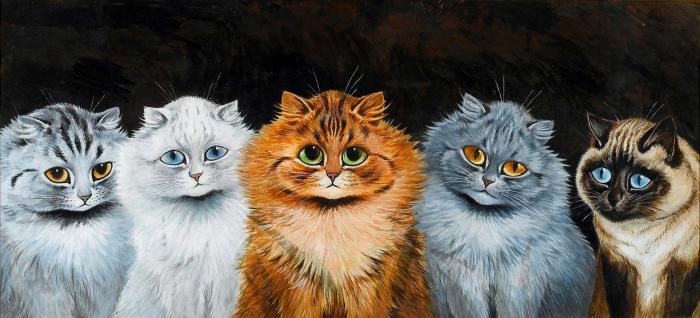 Пять кошек, Рыжий во главе