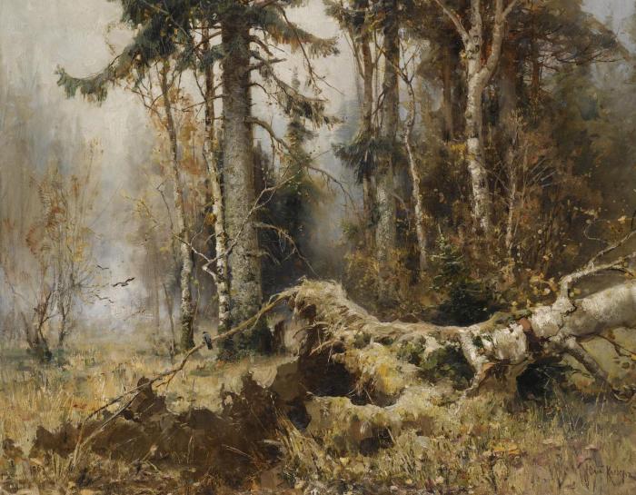 Ранее утро в зимнем лесу