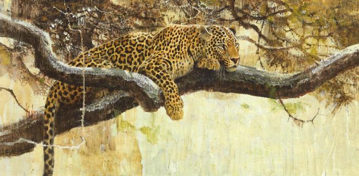 Reprieve from the Heat