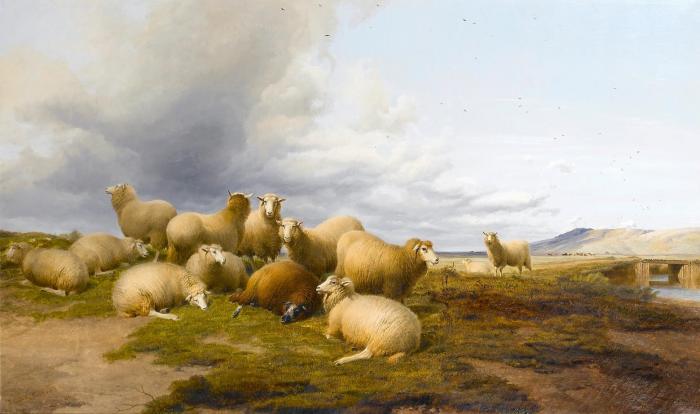 Sheep in a landscape