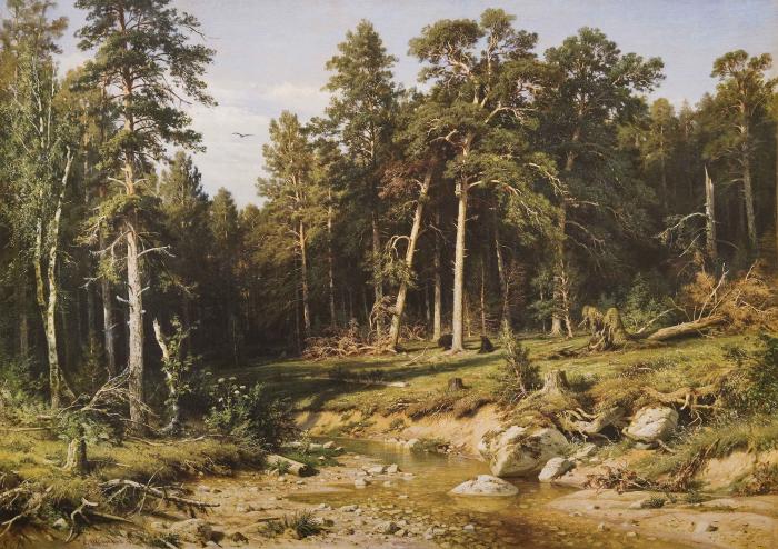 Сосновый бор. Мачтовый лес в Вятской губернии. 1872.