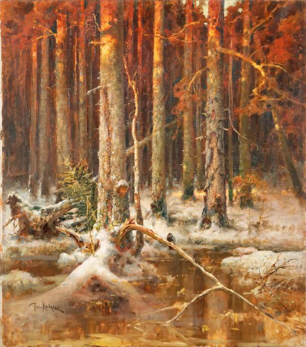 Sunset in the forest