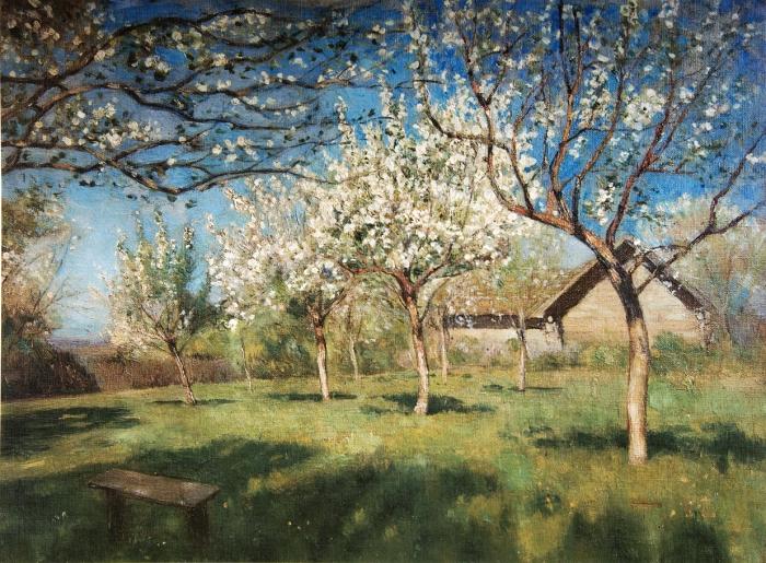 Цветущие яблони