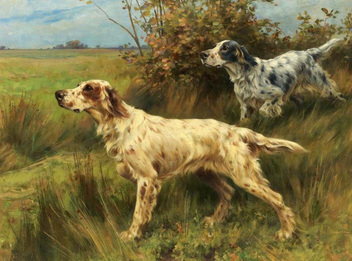 TWO ENGLISH SETTERS ON POINT