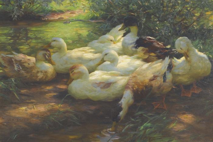 Утки на водопое